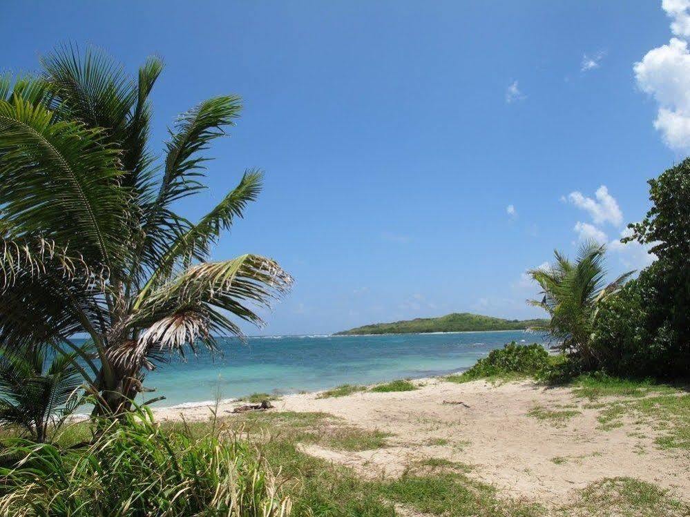 The Cove Hotel St Croix La Grande Princesse Exterior photo