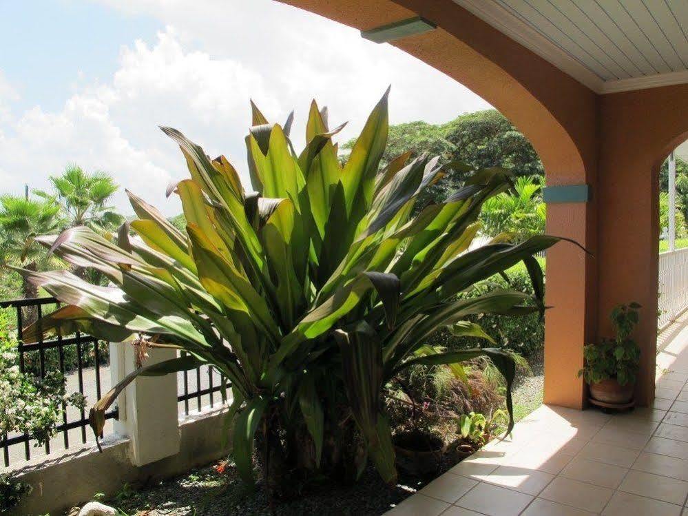 The Cove Hotel St Croix La Grande Princesse Exterior photo